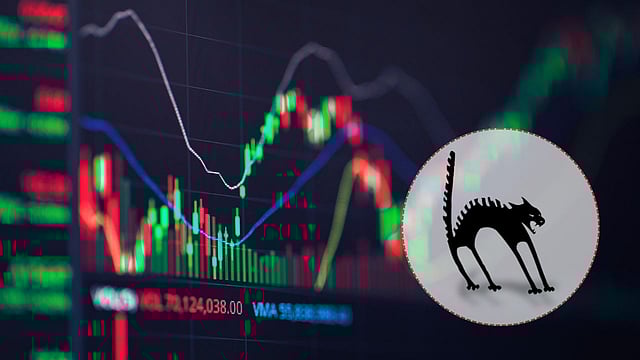 Stock Market Rebounds For Second Straight Day, Is It A Recovery Rally Or A Dead Cat Bounce