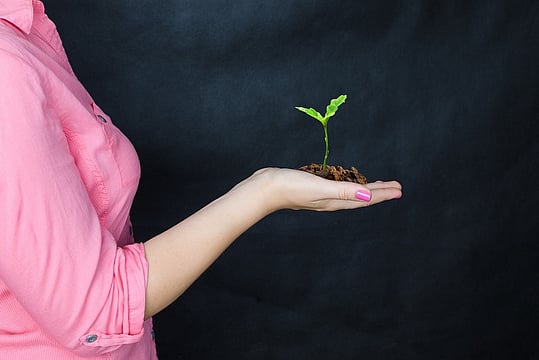 Women In Investing: Closing The Gap Or Still Catching Up?