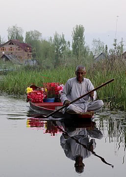 Pahalgam Terrorist Attack: Panicked Tourists Cancelling Kashmir Trips; Is Your Travel Insurance Good Enough