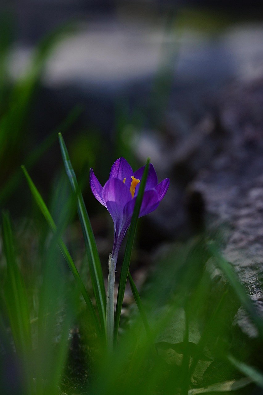 Top Must-Visit Springtime Getaways For Elderly Travellers In April