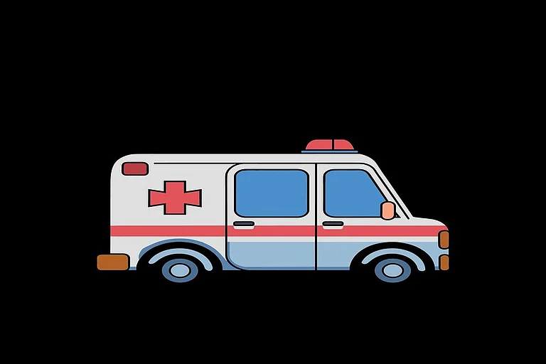 Ayush mobile medical awareness van to be rolled out in Delhi soon - Pixabay