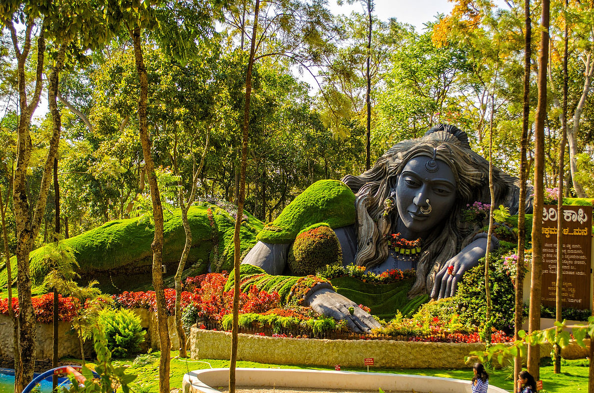 Top 7 Attractions in Chikmagalur, Karnataka for Elderly Travellers