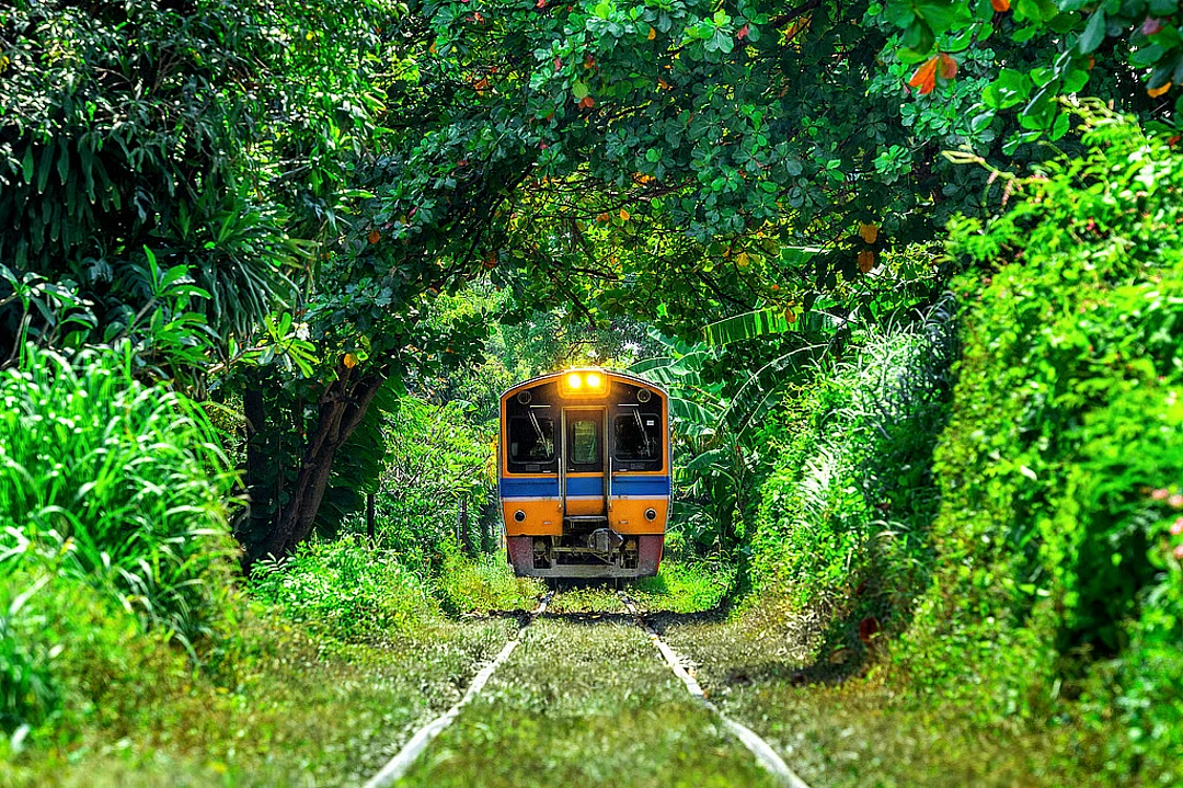 Vistadome Jungle Safari Train