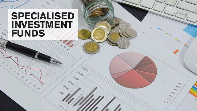 What are Specialised Investment Funds? Everything You Need To Know