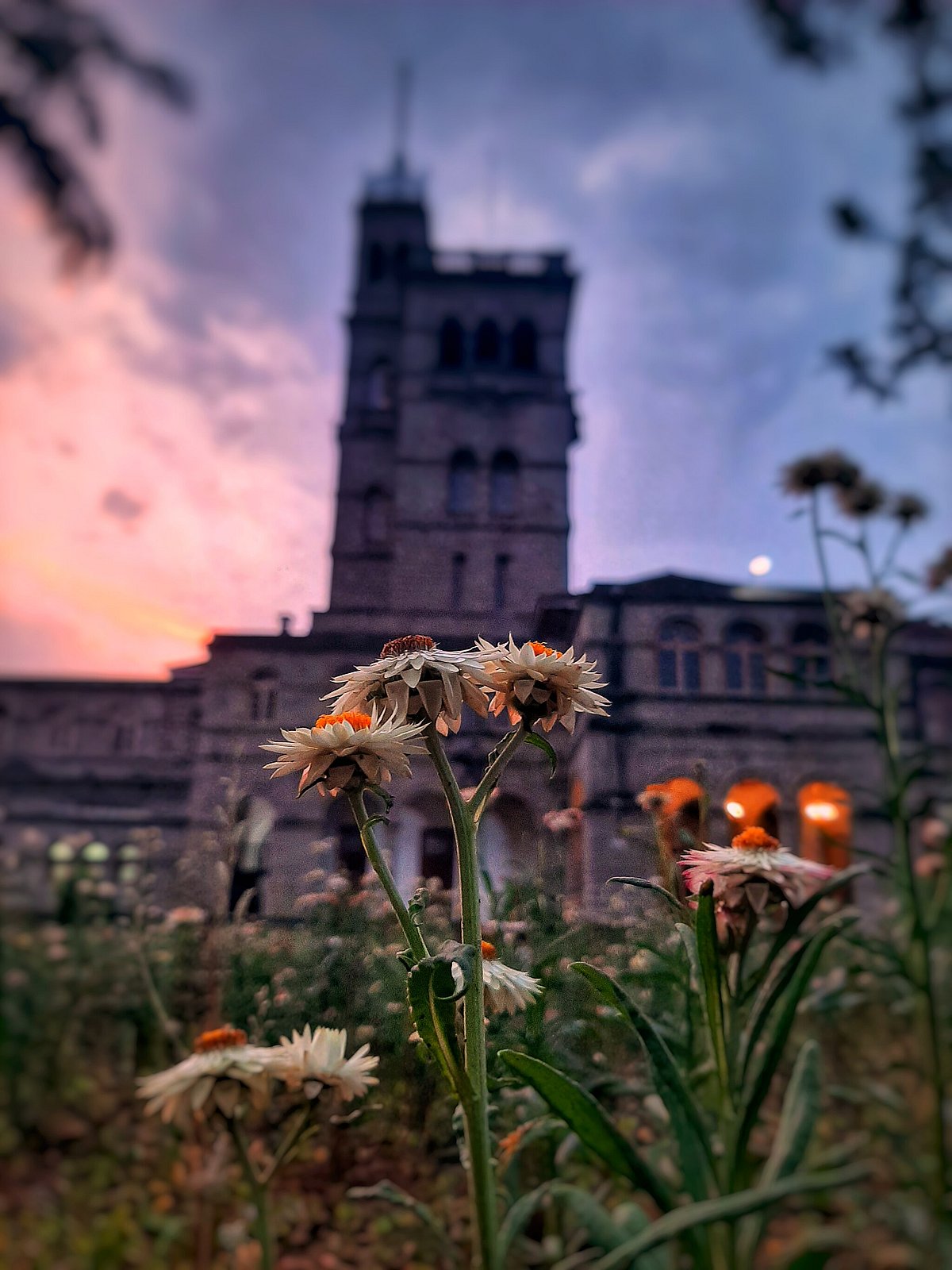 Savitribai Pule Univeristy