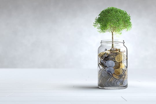 SBI Multi-Asset Allocation Fund: Growth Without The Grind