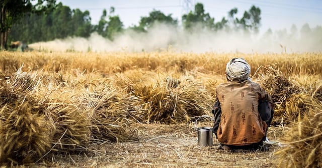 Agriculture Sector Records Highest Bad Loans At 6.10 Per Cent, Says RBI Report