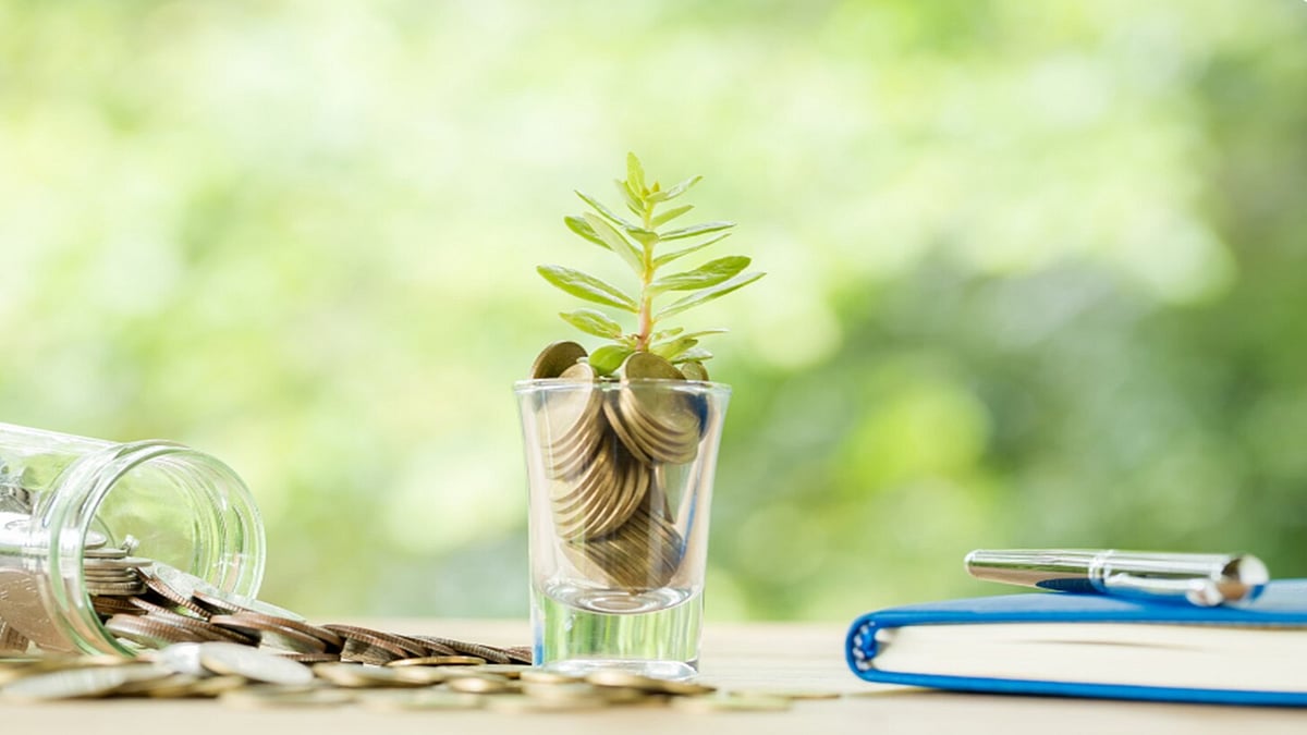 Mutual Fund Investment: Do Index Funds Deserve A Place In Your Portfolio?