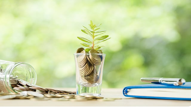 SIP Stop-Ratio Surges From October 2024 – March 2025 As Market Corrects 15-20 Per Cent