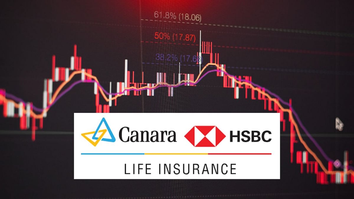 Canva : Ahead of its market debut, the shares were quoting at a modest GMP of Rs 3 per share