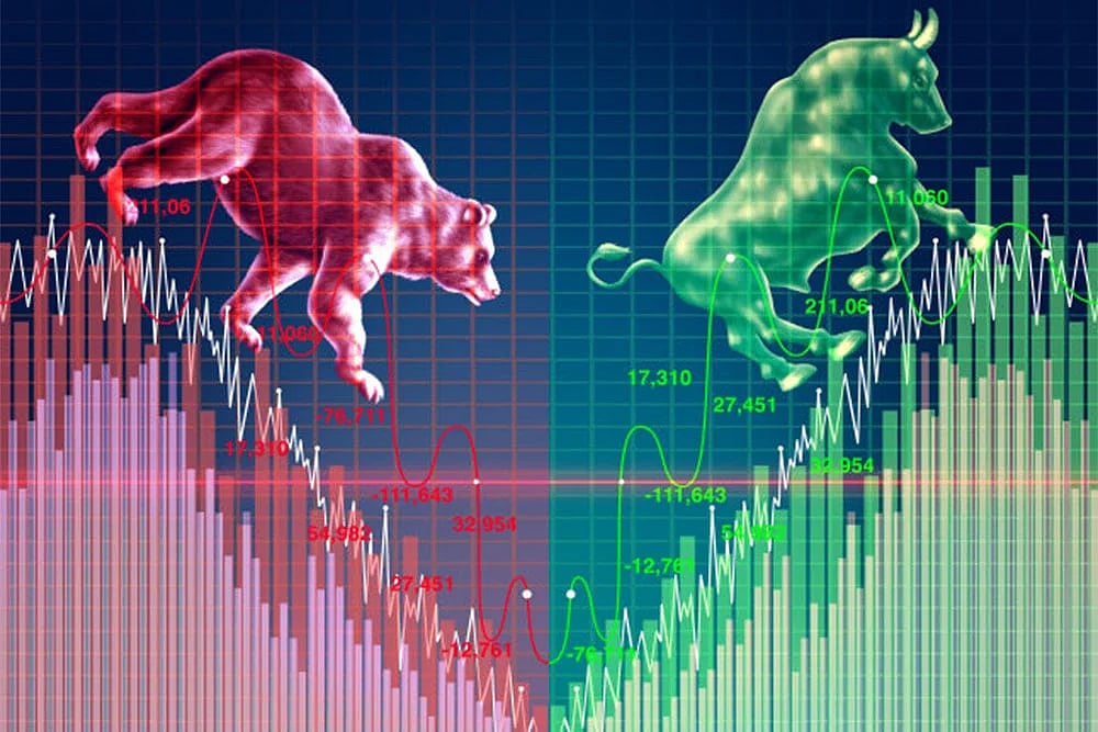 32 out of the 41 equity mutual funds generated positive returns for their investors, year to date.
