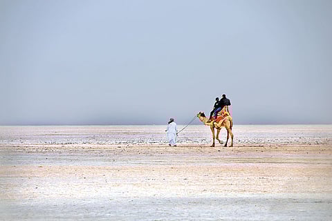 Rann of Kutch