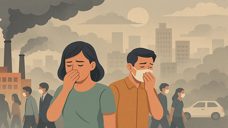 Madras HC calls air pollution health emergency - AI generated