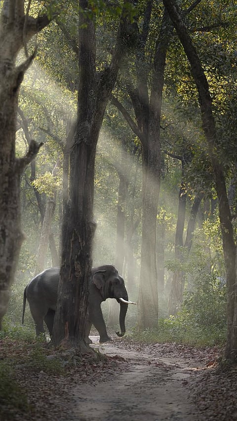 Destinations For Senior Travellers (Image From Instagram)