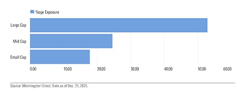 Large Caps Remain a Preferred Option for Equity Mutual Funds; Source: Morningstar India