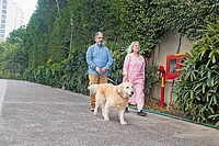 All Seniors Aren’t Risk-Averse