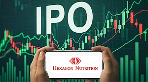 Hexagon Nutrition IPO Allotment Status Out: How To Check Share Status On KFintech, BSE, And NSE