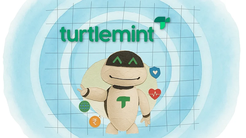 Canva, Turtlemint Fintech Solutions