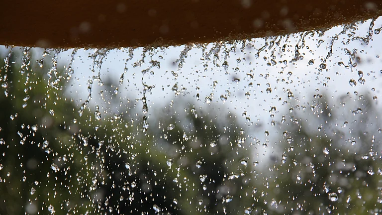 The report cautioned that any prolonged weakness in the monsoon could reverse the recent moderation in inflation - Canva