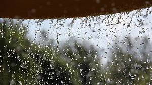 Canva : The report cautioned that any prolonged weakness in the monsoon could reverse the recent moderation in inflation