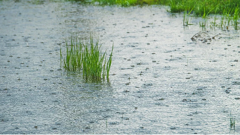 Motilal Oswal AMC says rising power demand could soften the impact of a weak monsoon - Canva