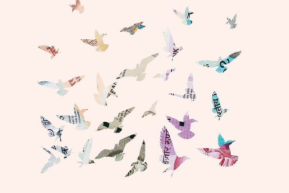 Cover Story : Cover Story