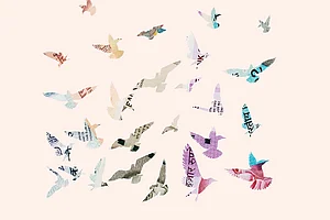 Cover Story : Cover Story