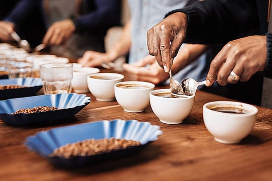 Too Many Choices Don’t Help