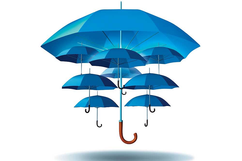 Best Possible Bet For A Perfect Storm : Best Possible Bet For A Perfect Storm