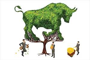 Big Bang In Small Stocks : Big Bang In Small Stocks