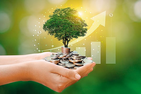 Focus On Wealth Creation Rather Than Chasing Returns