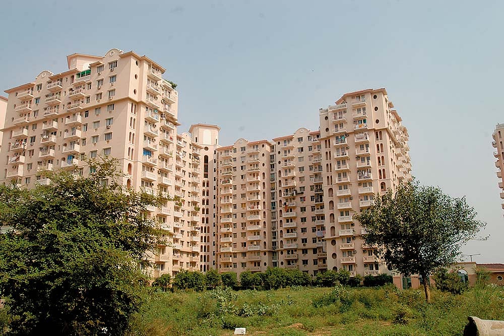 Homeward Bound : Homeward Bound