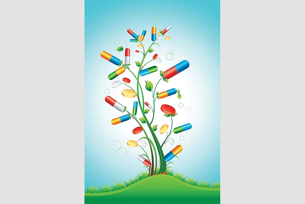 New Darling Of Fund Managers : New Darling Of Fund Managers