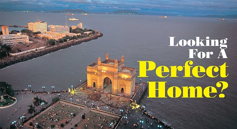 Looking For A Perfect Home? : Looking For A Perfect Home?