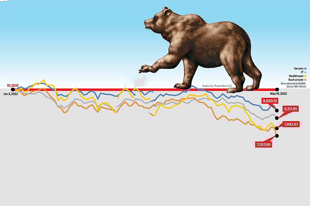 Bear Charge : Bear Charge