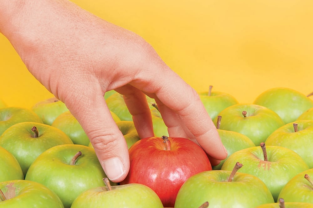 Picking The Right Fund : Picking The Right Fund