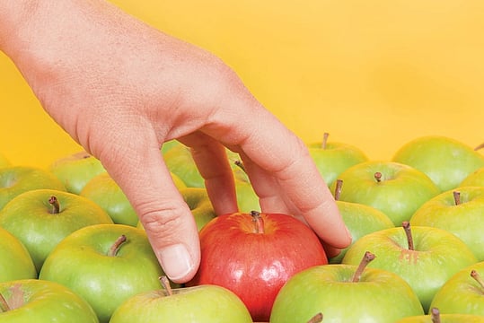 Picking The Right Fund