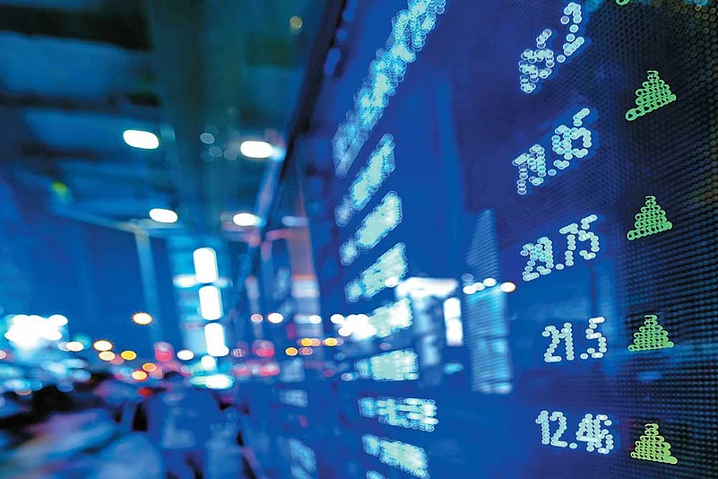 Hungry Bulls Taste Puny Grains