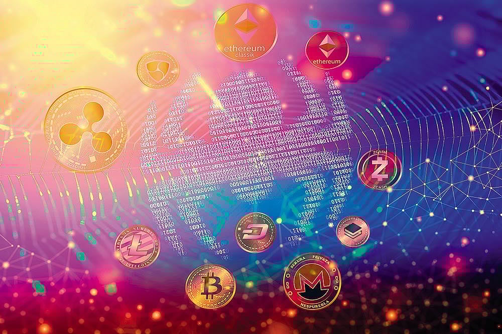 Web Of Lies : Web Of Lies