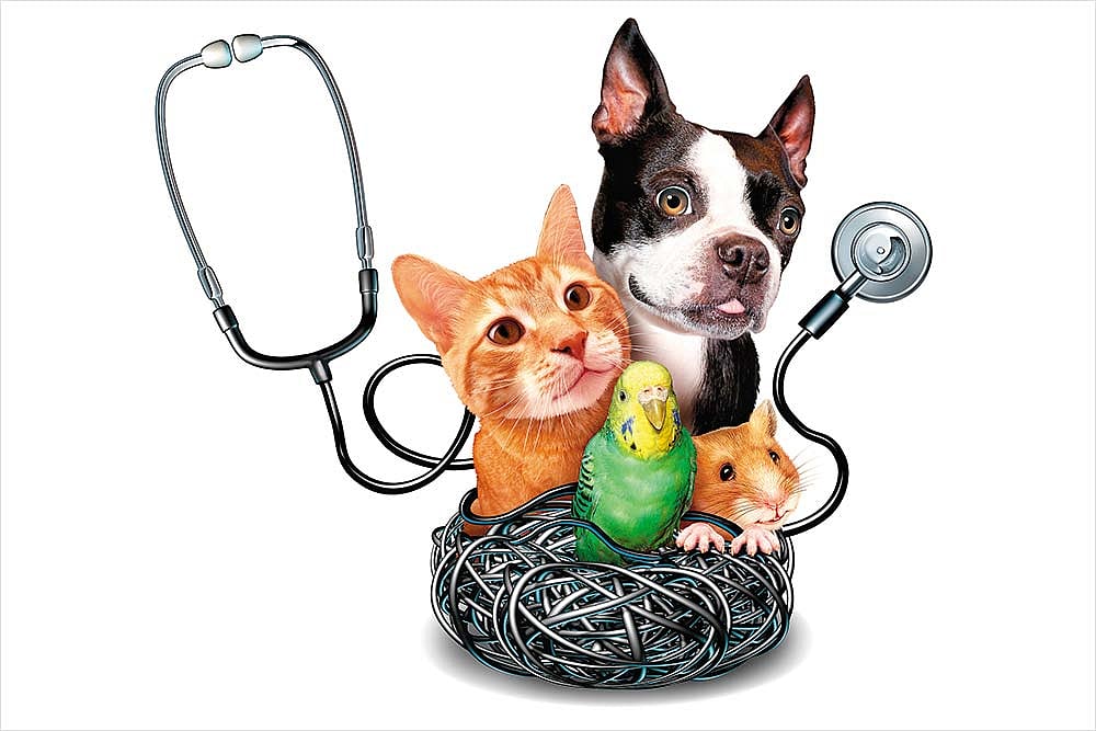 Talk Back : Talk Back