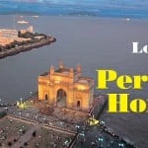 Looking For A Perfect Home? : Looking For A Perfect Home?