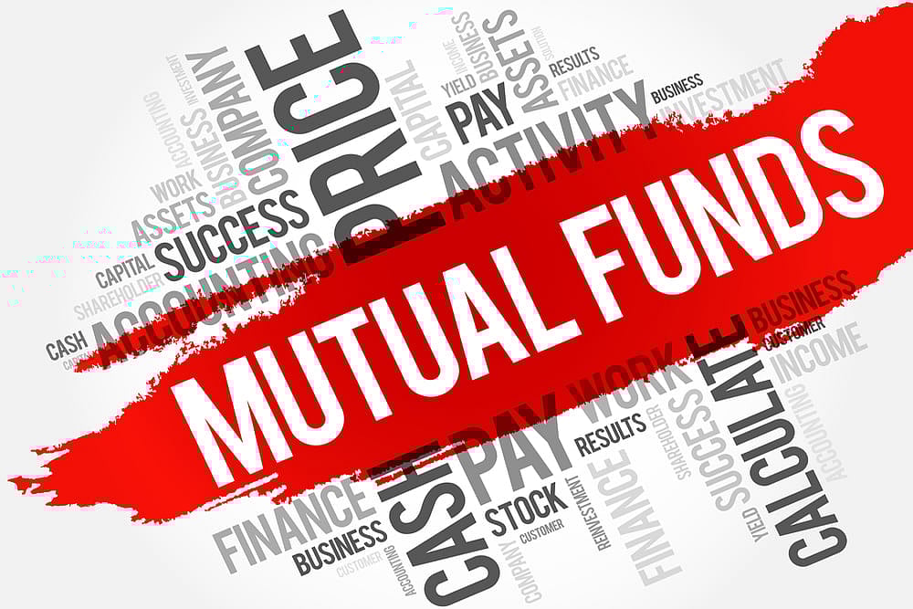 Nippon India Small Cap: Long-Term Performer : Nippon India Small Cap: Long-Term Performer