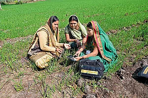 An Abacus For Her Jigsaw Of Life : An Abacus For Her Jigsaw Of Life