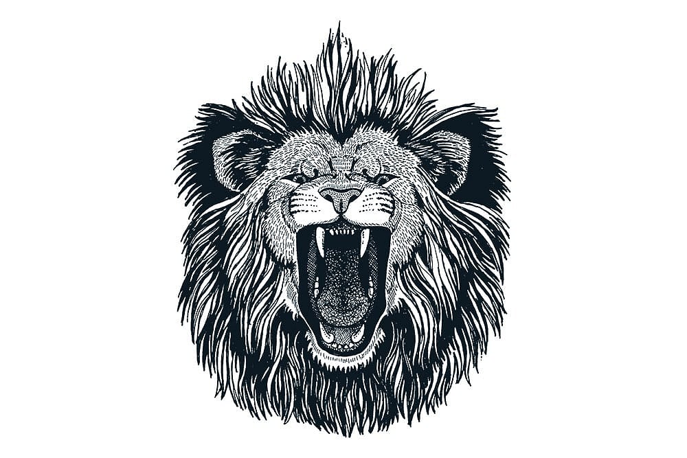 The Lion Is In The Street : The Lion Is In The Street