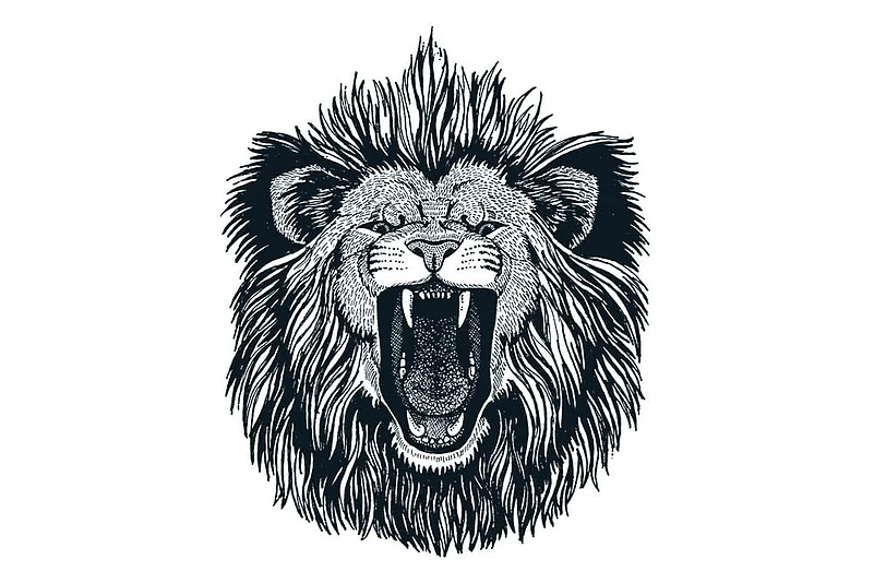 The Lion Is In The Street