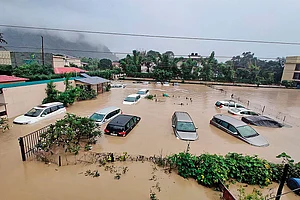 Insurance : Insurance