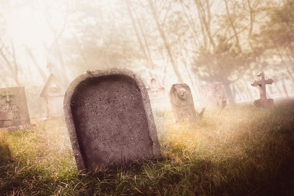 Paradise Often Evicts Plebeians : Paradise Often Evicts Plebeians