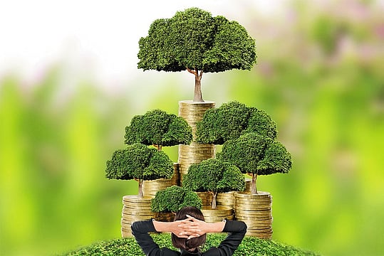 Wealth Creation For Her