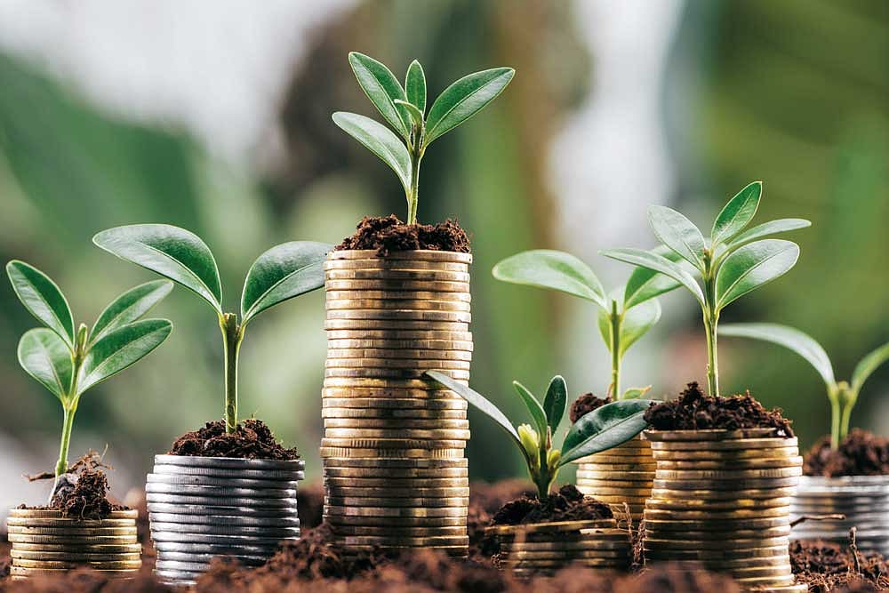 Wealth Creation Through Mutual Funds : Wealth Creation Through Mutual Funds