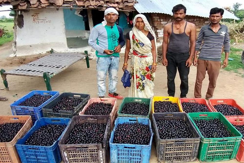 Giving Life to Socially Relevant Business Ideas